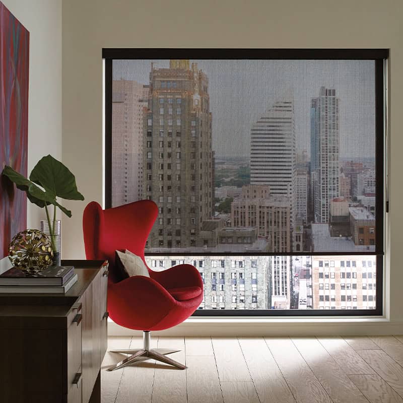 Sheer roller shades on city skyline window, offering modern window treatment solutions, customizable for privacy and light control. Ideal for urban homes and offices seeking stylish blinds.