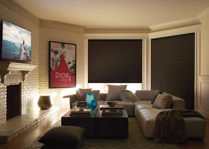 Luxury black window blinds in stylish living room, modern blackout shades for privacy and light control, superior blinds custom window treatments, elegant home interior decor, blackout roller shades en_US.