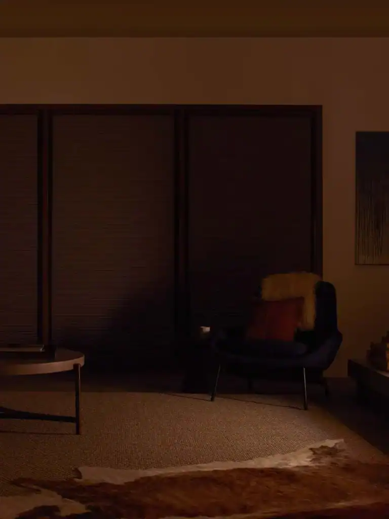 Dark wood window blinds covering closet doors in a cozy living room setting for superior privacy and light control.